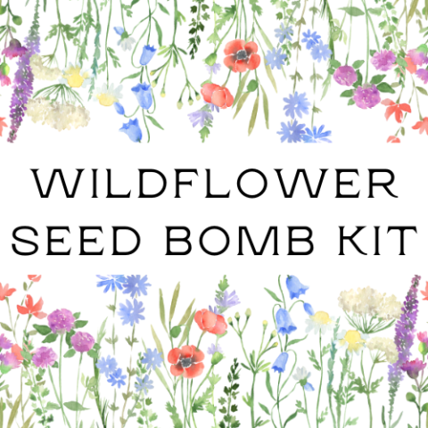 Wildflowers on a white background. Text says wildflower seed bomb kit